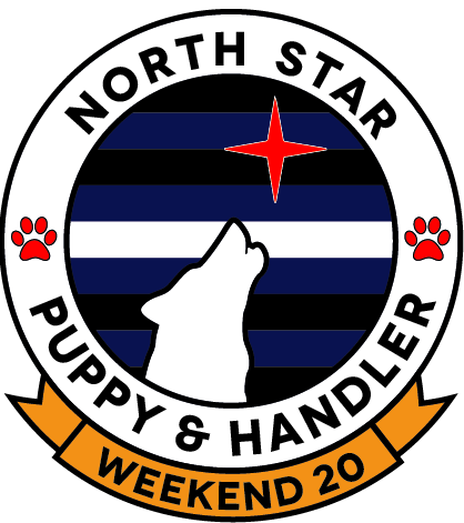 NSPAH Weekend 2020